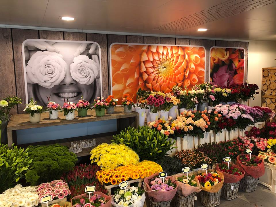 Bloemen kopen in Brugge - Groencentrum - voor uw tuin