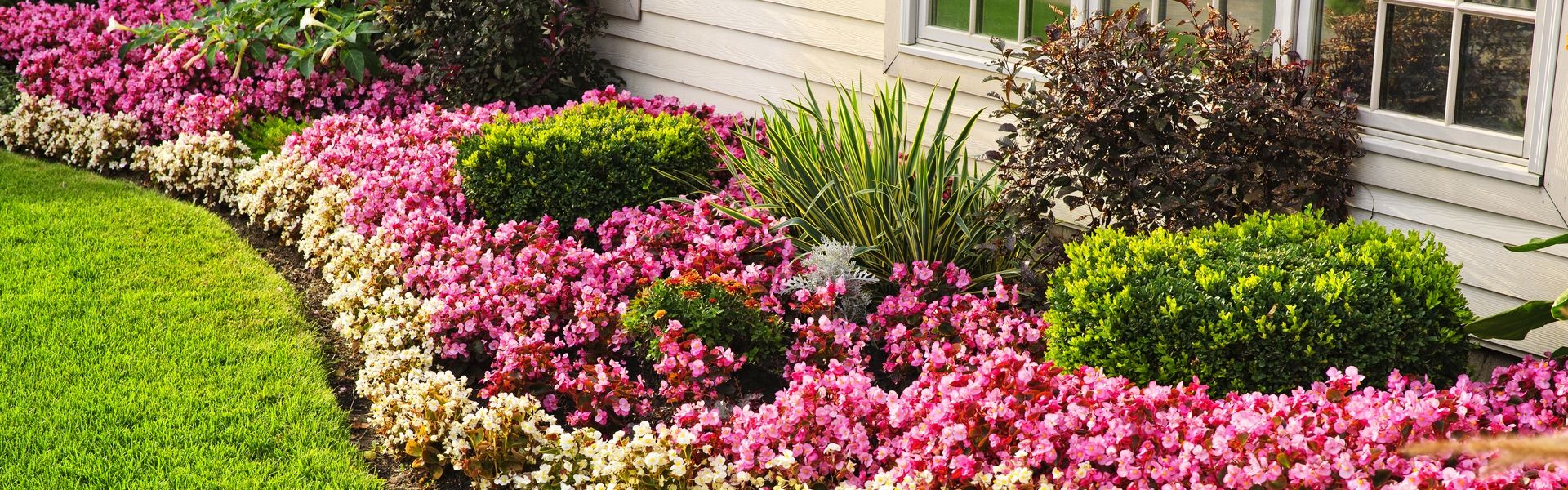 Tuinplanten kopen Groencentrum Inspiratie voor uw tuin