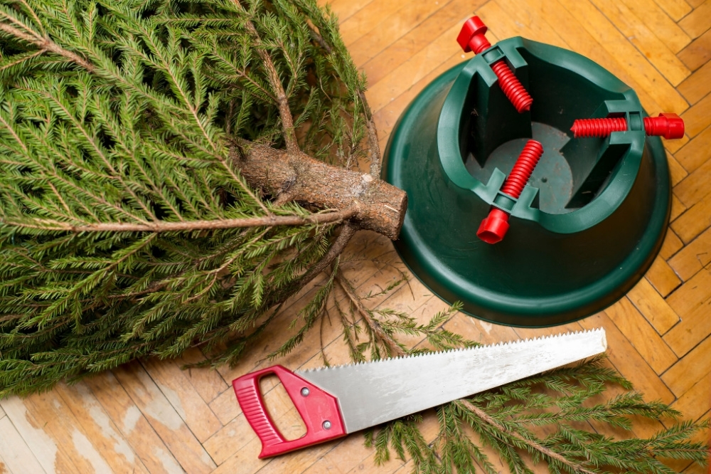 Top 5 Kerstbomen En Verzorgingstips - Groencentrum - Inspiratie Voor Uw ...